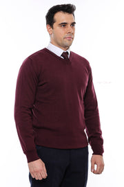 V Neck Burgundy Men's Knitwear - Wessi